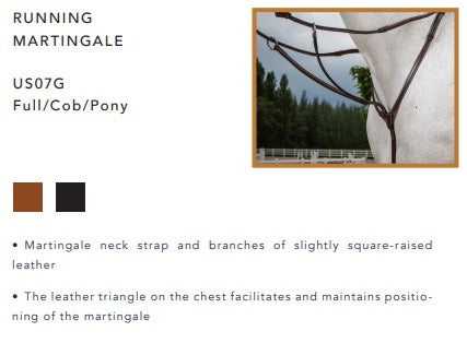 Product description of a running martingale with a horse wearing it, set against a natural background.