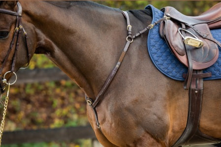 Brown horse with a blue saddle pad and brown saddle on a blurred background