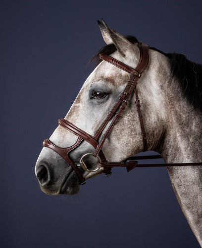 Dyon Double Noseband Bridle image 0