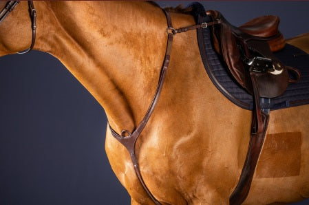 Close-up of a horse with a saddle and bridle on a dark background