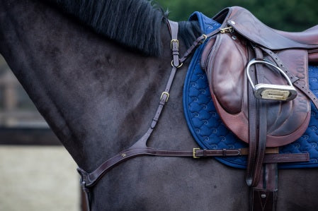 Close-up of a horse with a saddle and blue pad on a blurred background