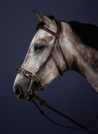 Dyon Hackamore Bridle image 0