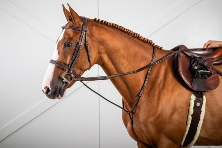 Dyon Standing Martingale image 0