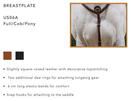 Dyon Breastplate image 1