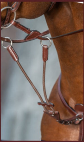 Close-up of a brown leather horse bridle on a blurred background