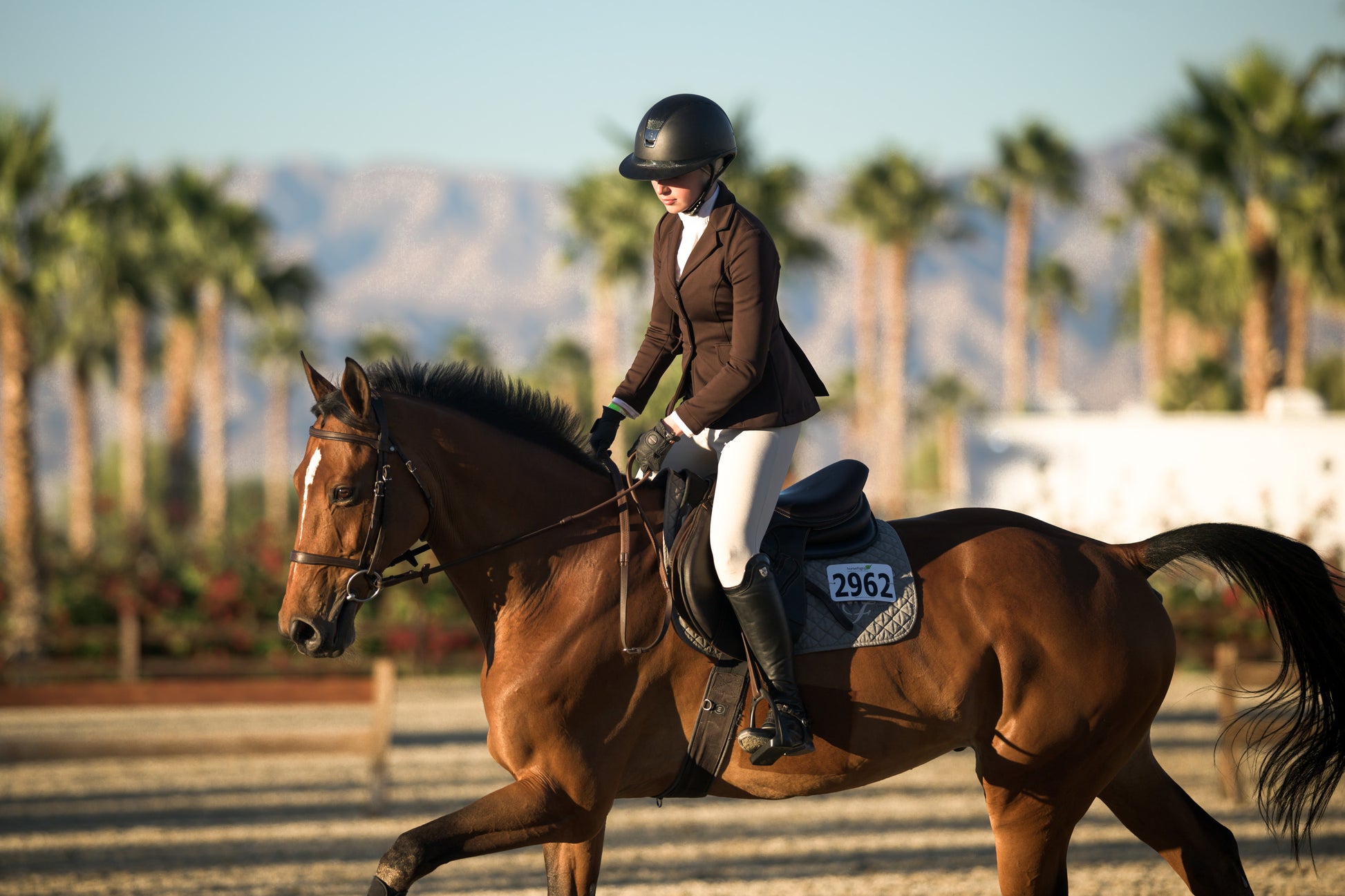 Soleá Couture Custom Show Coats