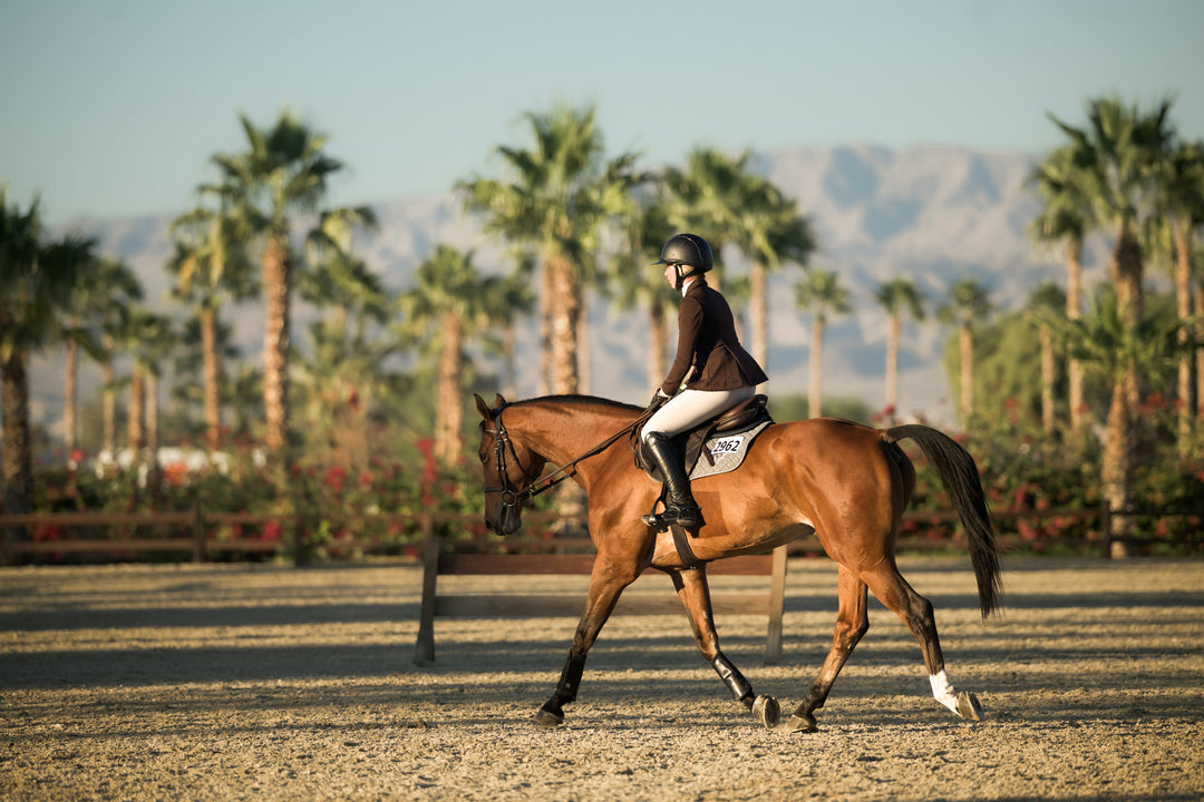 Soleá Couture Custom Show Coats