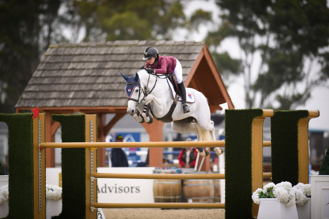 Equestrian event with a horse and rider jumping over an obstacle.