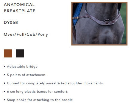 Dyon Anatomical Breastplate image 1