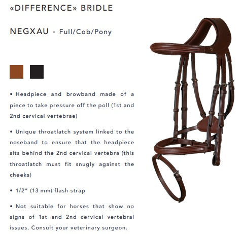 Horse bridle with specifications on a white background