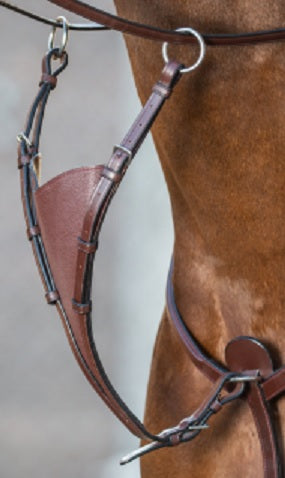 Brown leather bridle on a horse with a white background