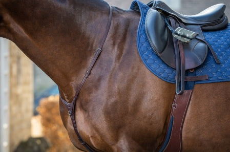 Brown horse with a blue saddle pad and brown leather bridle.