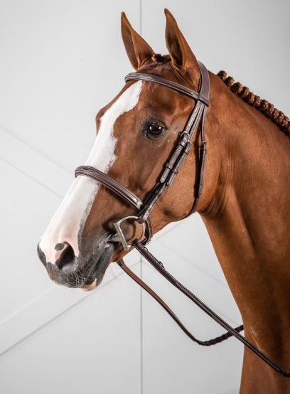 Dyon Cavesson Noseband Bridle image 0