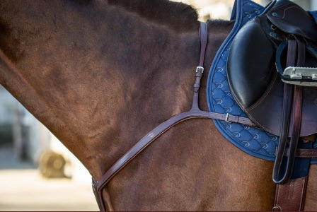 Close-up of a horse with a saddle and blue pad on a blurred background