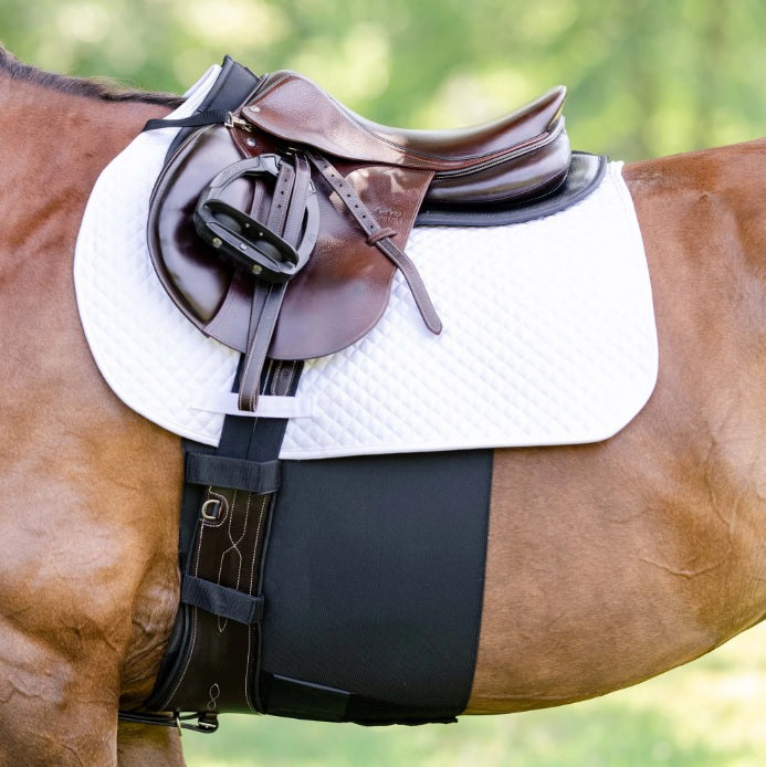 Equifit Bellyband+ image 0