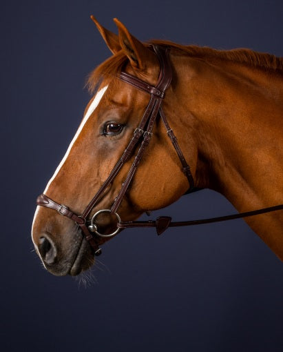 Dyon Adjustable Drop Noseband Bridle image 0