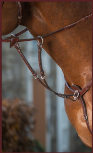 Dyon Running Martingale Attachment image 0