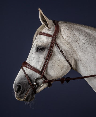 Dyon Anatomical Flash Noseband Bridle image 0