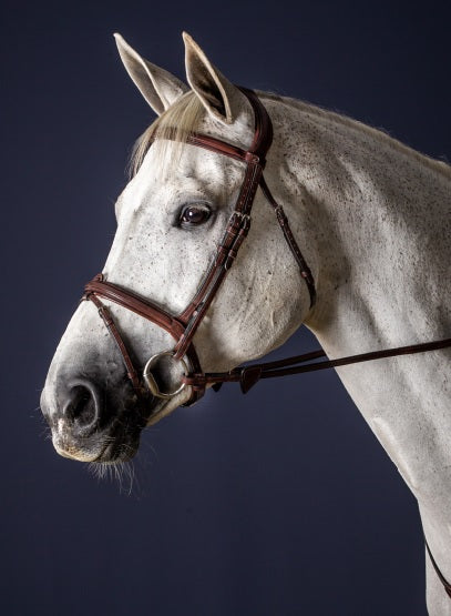 Dyon Flash Noseband Bridle image 0