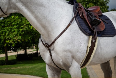 White horse with a brown saddle and black saddle pad in an outdoor setting.